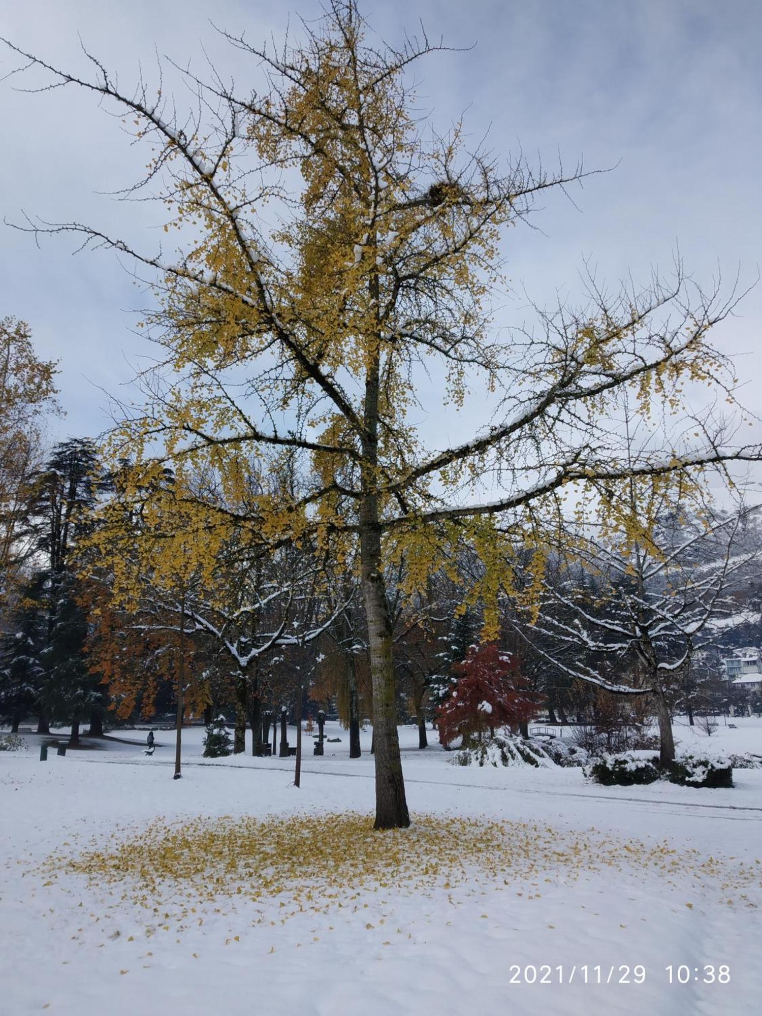 Le Balcon Du Parc, Entre Lourdes Et Gavarnie Argelès-Gazost Esterno foto